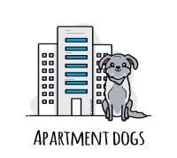 Apartment Dogs for Adoption